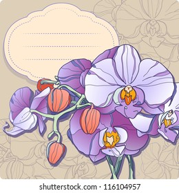 Vector background with orchid for your design