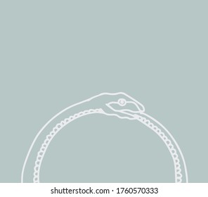 Vector background with ouroboros. Illustration of snake. Poster, background for jewelry or cosmetic products