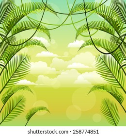 vector background with palm branches