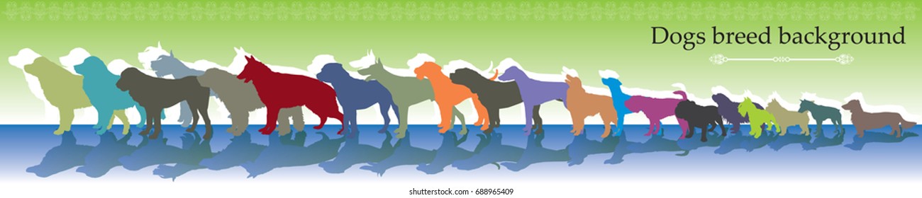 Vector background panorama with different colorful dogs breed 