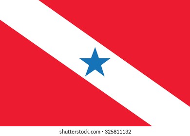 vector background of para flag state