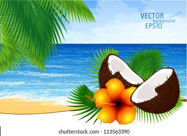 Vector background of paradise island with tide, palm leaves, coconut cocktail and tropical flower