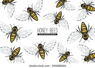 Vector background with pattern from colorful honey bees  isolated on white background. Insect design for print, fabric, card, wallpaper, packaging