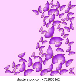 Vector Background Pattern. Element of design. Purple butterflies on a lilac background
