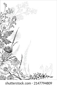 vector background of pencil drawing of wildflowers. 