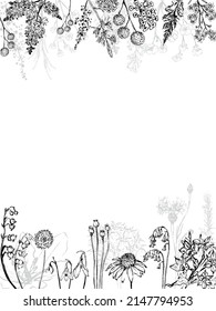 Vektorhintergrund der Bleistiftzeichnung von Wildblumen.  