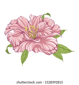 Vector background. Peony flowers - decorative composition. Wallpaper. Use printed materials, patterns on fabrics, posters, postcards, packaging.