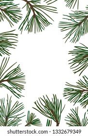 vector background with pine branches with green needles at white background, hand drawn botanical illustration