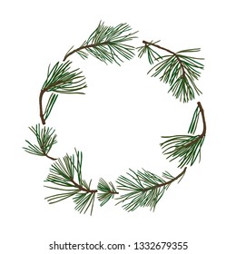 vector background with pine branches with green needles at white background, hand drawn botanical illustration, round frame