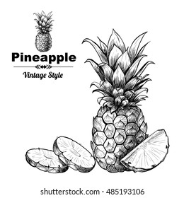 Vector background with  pineapple . Hand drawn. Vintage style