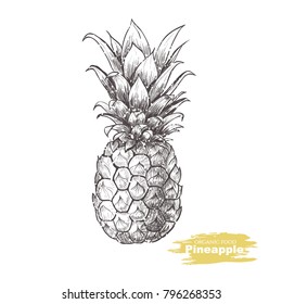 Vector Background With  Pineapple . Hand Drawn. Vintage Style