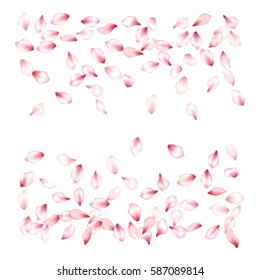 Vector background of pink falling flower petal confetti background. Free space, white backdrop - place for text. Invitation template, spring holiday greeting card layout design. Blossom Flying Petals.