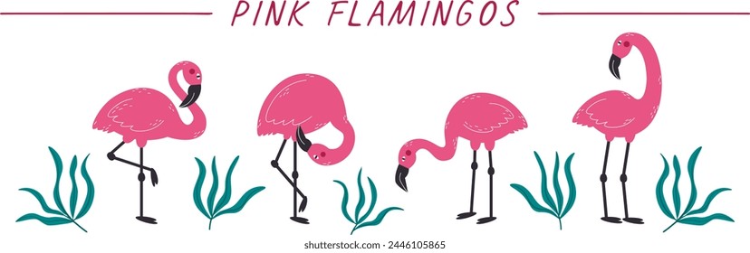 Vector background with pink flamingos and tropical plants. Exotic birds set	