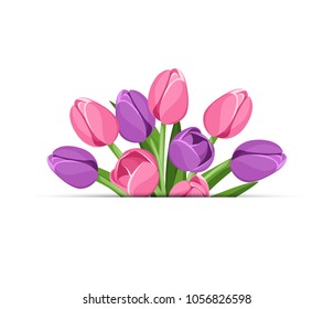 Vector background with pink and purple tulip flowers. 