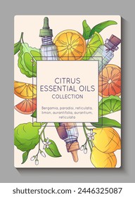 Vector background poster with illustration of citrus fruits, essential oil bottles. For design infographics, banner, postcard. Concept of cosmetics, perfumery and aromatherapy.