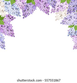 Vector background with purple, pink, blue and white lilac flowers.