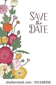 Vector background with ranunculus flowers. holiday, wedding invitation design.