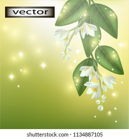 Vector background realistic 3D, glitter on green and yellow background blurred with white hanging cascading garlands of colors