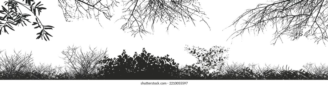Vector background of realistic branches, a silhouette of bare dry twigs,bushes and withering autumn nature.