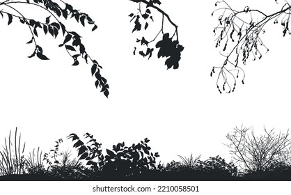 Vector background of realistic branches, a silhouette of bare dry twigs,bushes and withering autumn nature.