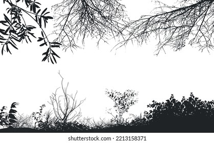 Vector background of realistic branches, a silhouette of bare dry twigs,bushes and withering autumn nature.