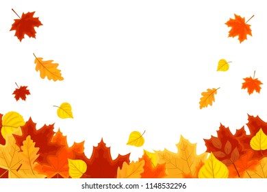 Vector background with red, orange, brown and yellow  autumn leaves. Autumn design.