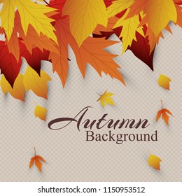 Vector background with red, orange, brown and yellow falling autumn leaves. Templates for posters, banners, flyers, presentations, reports. Autumn leaves. Autumn design.