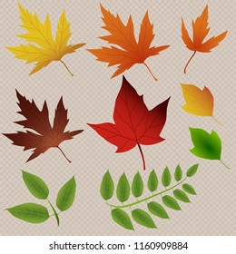 Vector background with red, orange, brown and yellow falling autumn leaves.