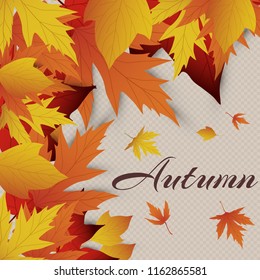 Vector background with red, orange, brown and yellow falling autumn leaves. Templates for posters, banners, flyers, presentations, reports. Autumn leaves. Autumn design.