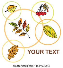 Vector background with red, orange, brown and yellow falling autumn leaves.