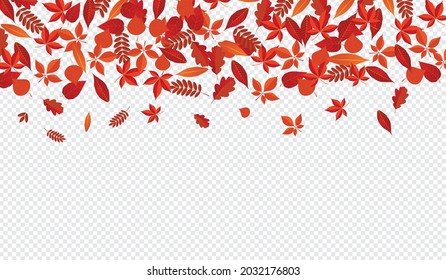 Vector background with red, orange, brown and yellow falling autumn leaves.