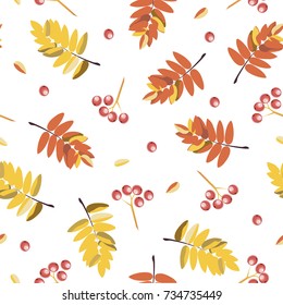 Vector background with red, orange, brown and yellow falling autumn leaves.
