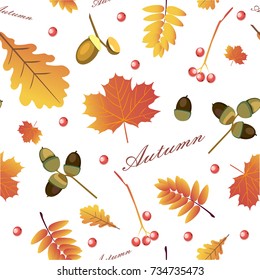 Vector background with red, orange, brown and yellow falling autumn leaves.