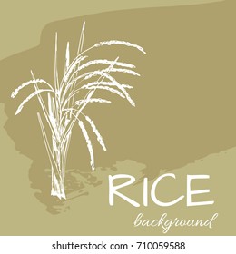 vector background with rice logo, hand-drawn plants