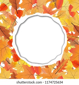 Vector background with ripped paper and space for text. Autumn leaves pattern.