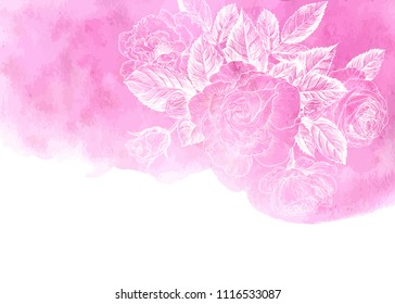 Vector background with roses sketches on a watercolor stain. Hand-drawn illustration in vintage style.