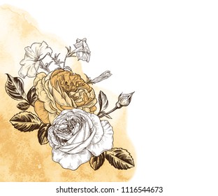 Vector background with roses sketches on a watercolor stain. Hand-drawn illustration in vintage style.