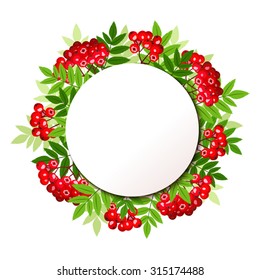 Vector background with rowan branches with green leaves and berries.