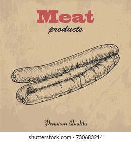 Vector background of sausages. Vector illustration for your design
