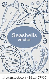 Vector background with sea shells. Luxury design. Design template for text, packaging, printing, decorative greeting card or invitation layout.