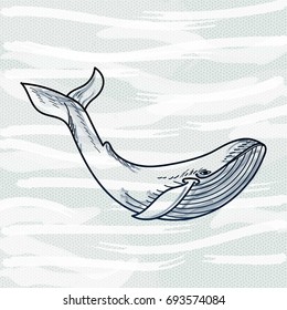 Vector background with sea whale ocean underwater world