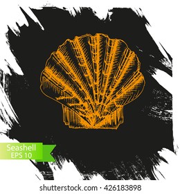 Vector background - Seashell
Illustration sketch - summertime.
