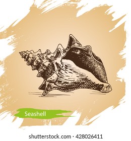 Vector background - Seashell
Illustration sketch - summertime.