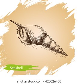 Vector background - Seashell
Illustration sketch - summertime.