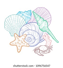 vector background with seashells , hand drawn illustration, sea composition