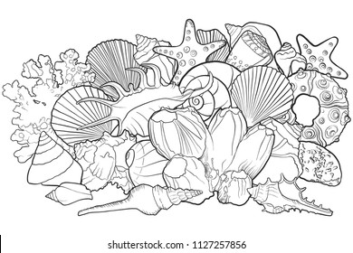 vector background with seashells , hand drawn illustration, sea composition