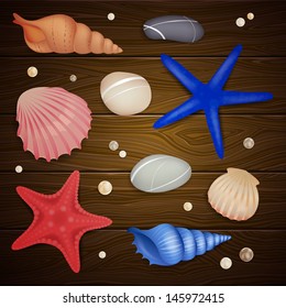 Vector Background with Seashells, Starfishes and Pebbles