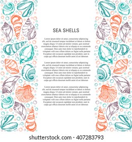 Vector Background with seashells. Summer sea shells card design with place for your text. Hand drawn style. 