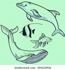 Vector background set with dolphin whale fish