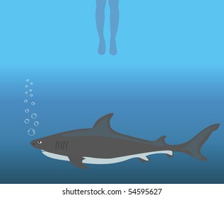 vector background with shark.